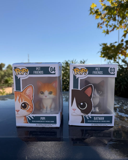 Figura Personalizada de tu Mascota estilo Funko | con Cajita