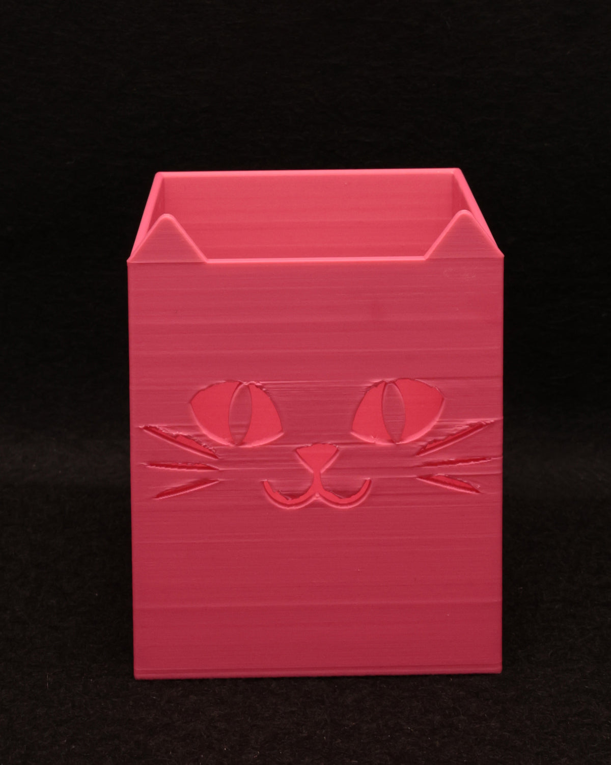 Portalápices Cara de Gato